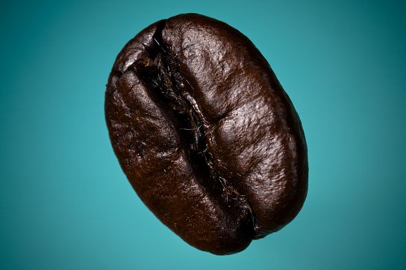 A Coffee Bean 1 A Coffee Bean 1