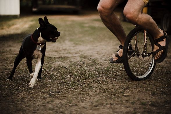 Unicycle 4 Unicycle 4