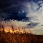 corn field at night corn field at night